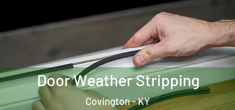 Door Weather Stripping Covington - KY