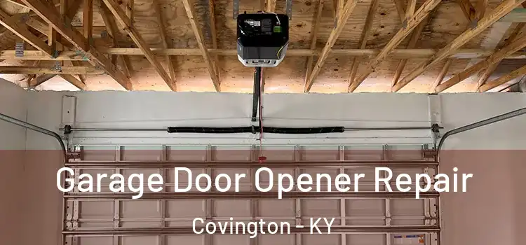  Garage Door Opener Repair Covington - KY