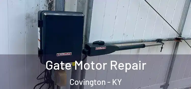 Gate Motor Repair Covington - KY