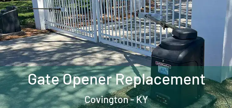 Gate Opener Replacement Covington - KY