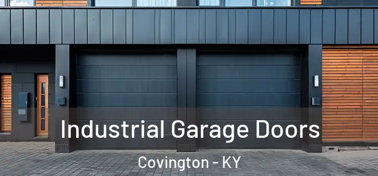  Industrial Garage Doors Covington - KY