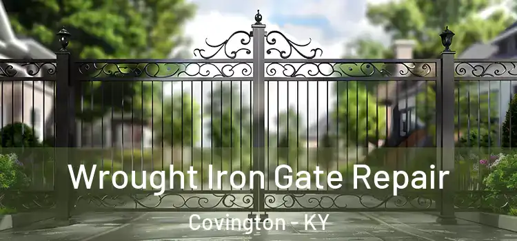 Wrought Iron Gate Repair Covington - KY
